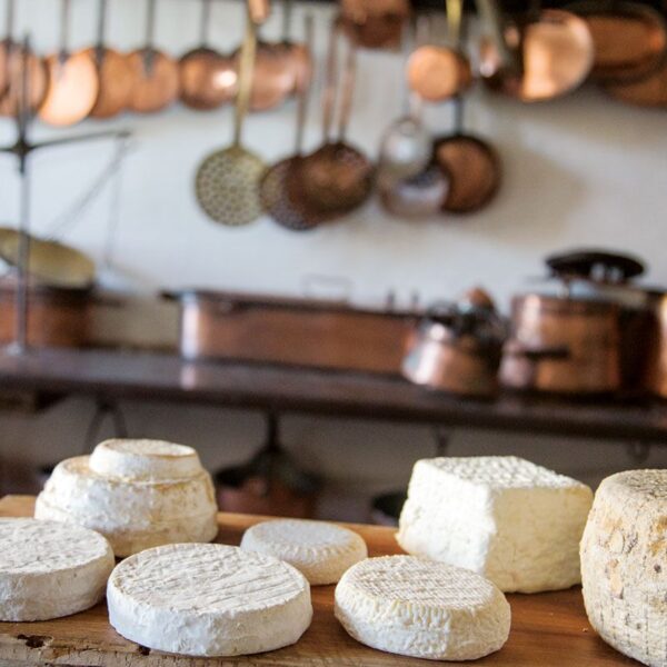 Lunch in langhe with shepherd