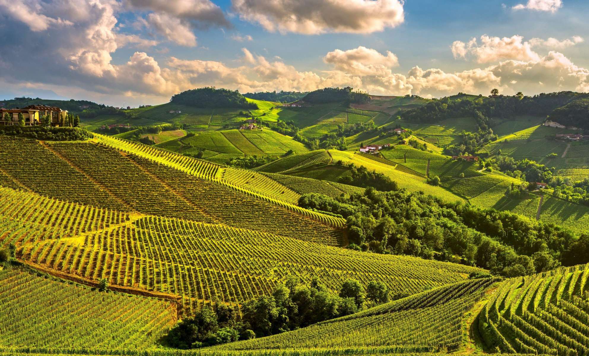 Barolo And Barbaresco Wine Tours Discover Best Piedmont Wines Barolo And Barbaresco Wine Tours Discover Best Piedmont Wines