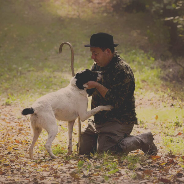 Truffle Hunting